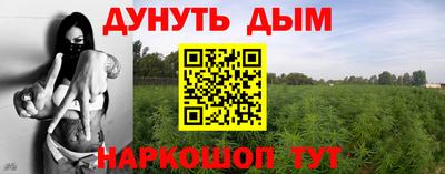 крисы Бузулук