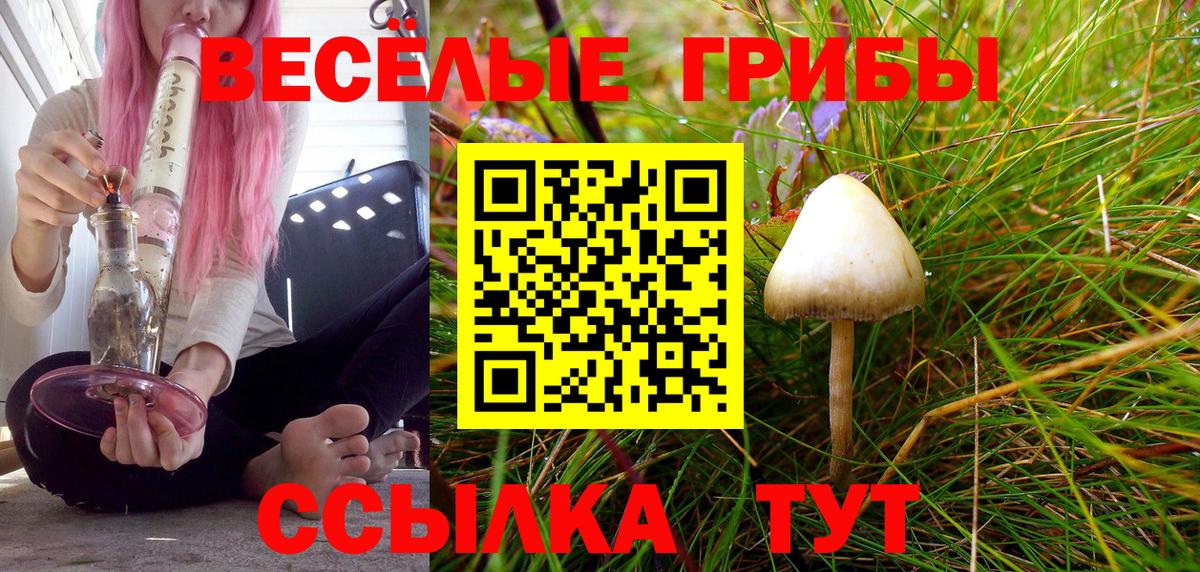 Псилоцибиновые грибы мицелий Рубцовск